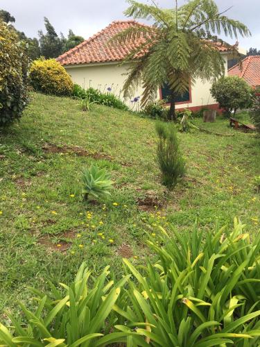 Фотография гостевого дома Bungalows Do Amparo