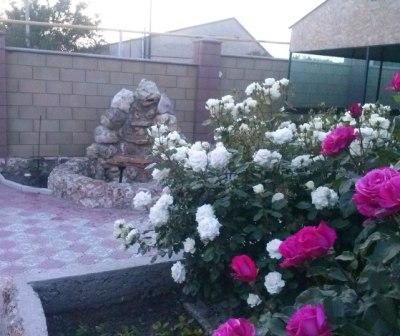 Фотография гостиницы У тети Кати