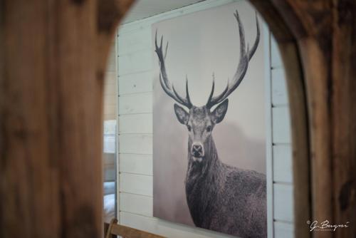 Фотография гостевого дома Chalet Le Grand Cerf