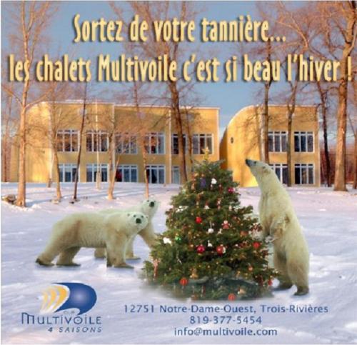 Фотография гостевого дома Chalets Multivoile 4 Saisons