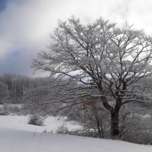 Фотографии мини отеля
Antica Terrazza Pietramala