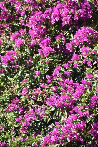 Фотография базы отдыха Azienda Agrituristica Biologica Il Querceto