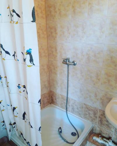 Фотографии мини отеля 
            Русский двор