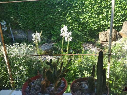 Фотографии гостевого дома
Дом в Крыжановке