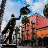 Фотография гостиницы Hotel MX garibaldi