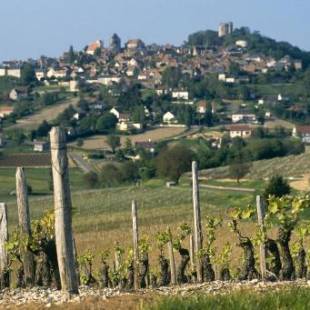Фотографии гостиницы
Hotel De La Loire