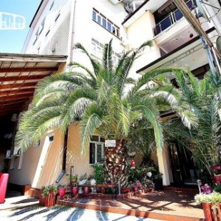 Фотография гостиницы Три Пальмы