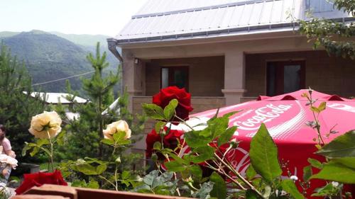 Фотографии гостиницы 
            Beauty Dilijan