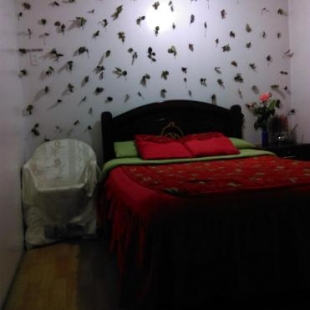 Фотография мини отеля Escocie - Quito