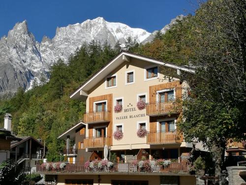 Фотография гостиницы Hotel Vallée Blanche