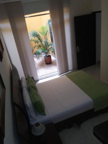 Фотография гостиницы Hotel Palma 70