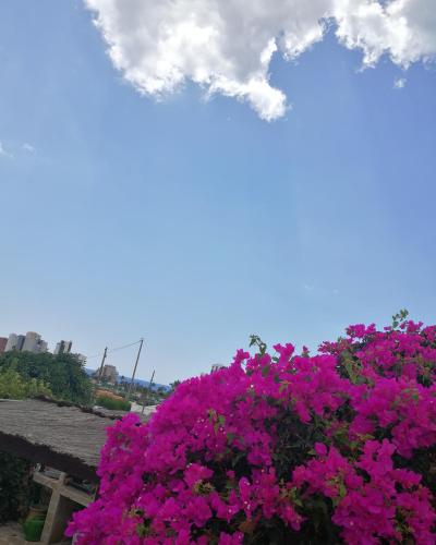 Фотография мини отеля El Rincón de la Quinta