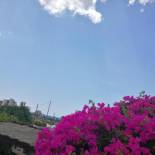 Фотография мини отеля El Rincón de la Quinta