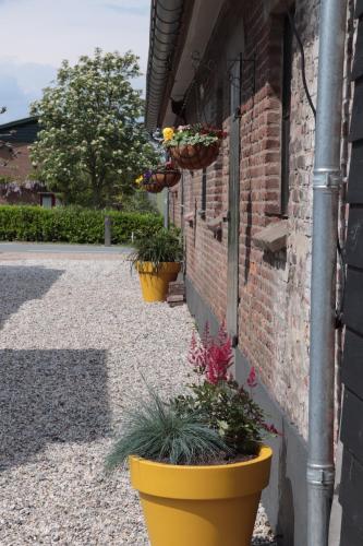 Фотография мини отеля Kade10Buren