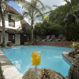 Фотография гостевого дома Out of Africa Guesthouse