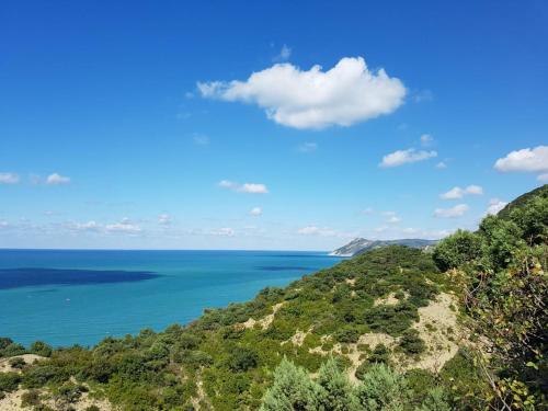 Фотографии гостевого дома
Солнечный Утриш