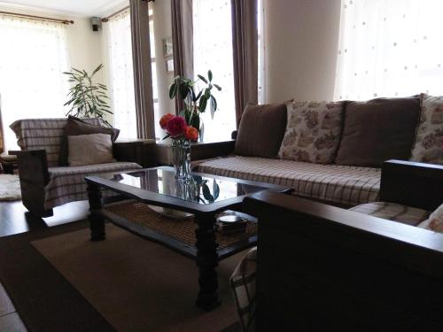 Фотография гостевого дома Casa Traian