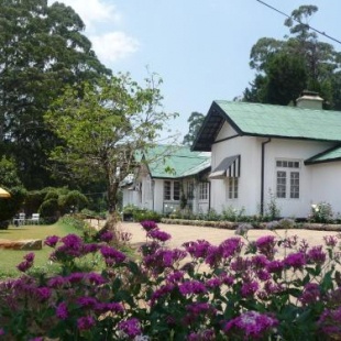 Фотография гостиницы The Trevene Hotel