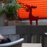 Фотография мини отеля Haus Wopke