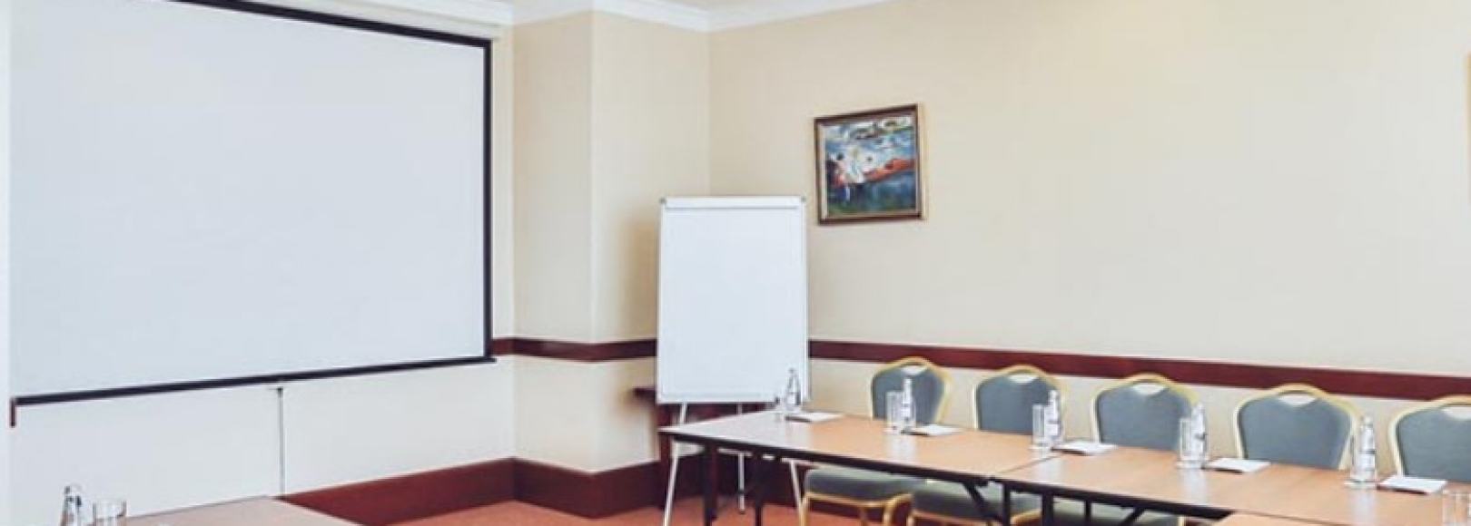 Фотография конференц-зала Ренуар