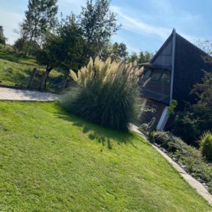 Фотография гостевого дома Vakantiehuis in paradijselijke sfeer met privémeertje