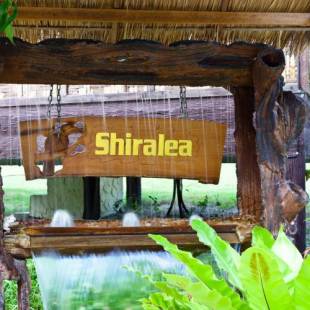 Фотографии гостиницы
Shiralea Island Resort