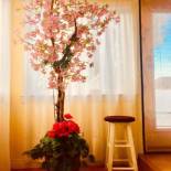 Фотография мини отеля Good location