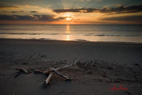 Фотография гостевого дома Casa Vacanza Piazza Gramsci 1
