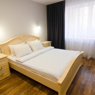 Фотография квартиры Апартаменты Золотой Шар на Революционной 1