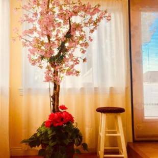 Фотографии мини отеля
Good location