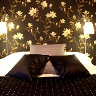 Фотографии гостиницы
Borgs Villahotell och B&B