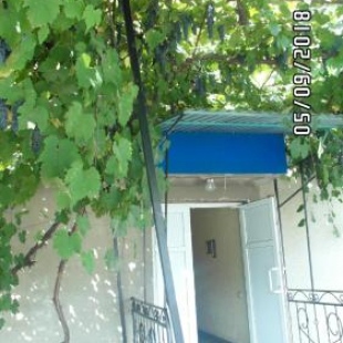 Фотография хостела Office