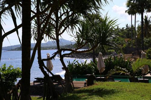 Фотография базы отдыха Seraya Shores