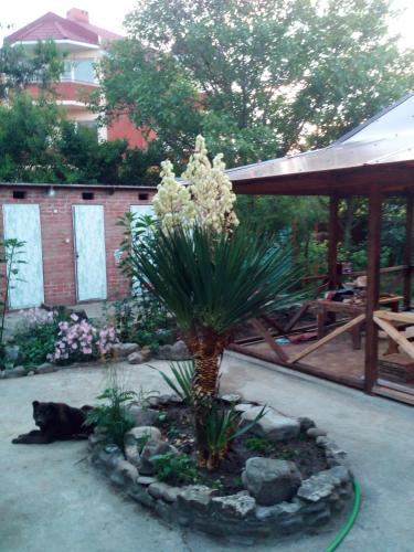 Фотографии гостевого дома 
            Инь-Янь