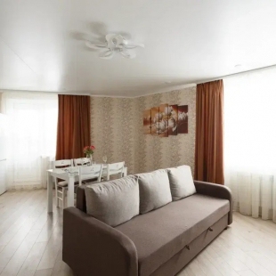 Фотография квартиры Квартира Две Подушки на Ленинградской 62 251