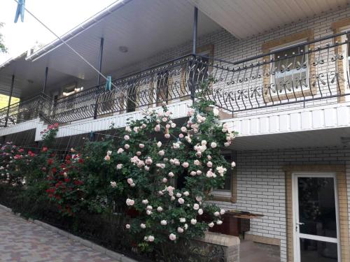 Фотография мини отеля Прибой