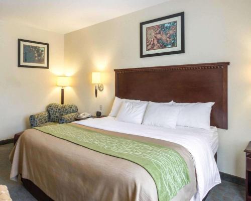 Фотография гостиницы Quality Inn Donaldsonville - Gonzales