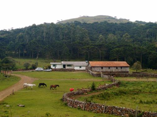 Фотография мини отеля Pousada Morro Grande