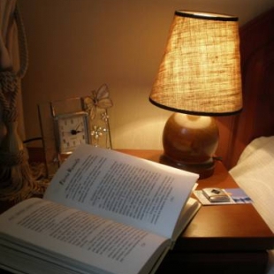 Фотография мини отеля Баттерфляй