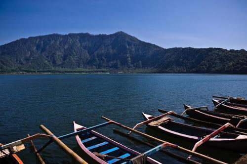 Фотография базы отдыха Strawberry Hill Hotel & Restaurant