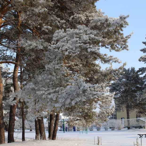 Фотографии санатория
Сосновый бор