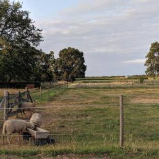 Фотографии мини отеля
De Lakenvelder B&B Eersel