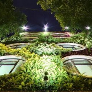 Фотография гостиницы Flora by Crossroads Hotel