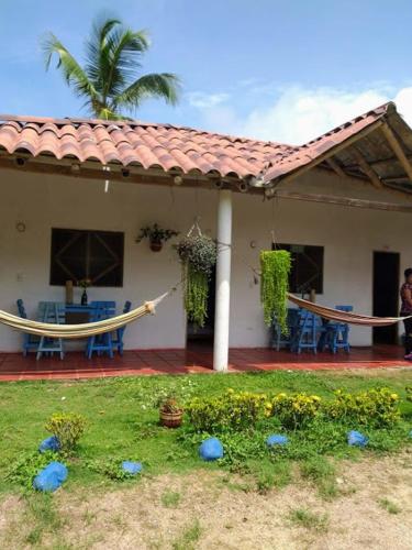 Фотография мини отеля Cabañas San Sebastian Palomino Beach Hostel