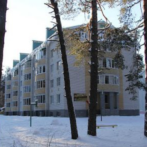 Фотография гостиницы Шишкин лес