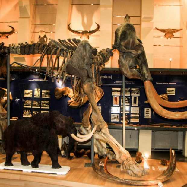 Фотография музея Музей мамонта