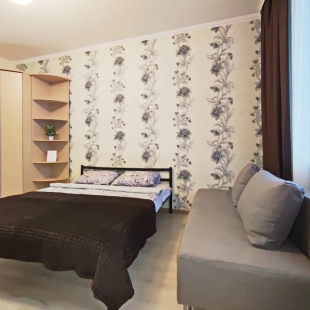 Фотография квартиры Квартира Гостевая Квартира на Каролинского 16