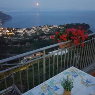 Фотографии мини отеля
B&B Oliva