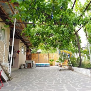 Фотография гостевого дома Bolnisi Guest House