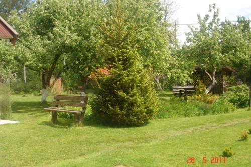 Фотографии гостевого дома
Зеленый Сад